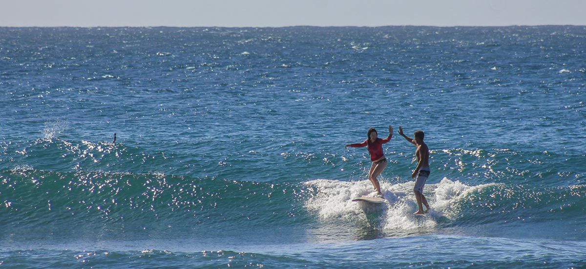 pidgeon surf lingo