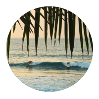 surf trip rincon puerto rico