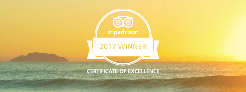 Rincon Surf School TripAdvisor Cert of Excellence